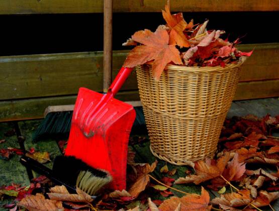 Prepping your Home for Fall